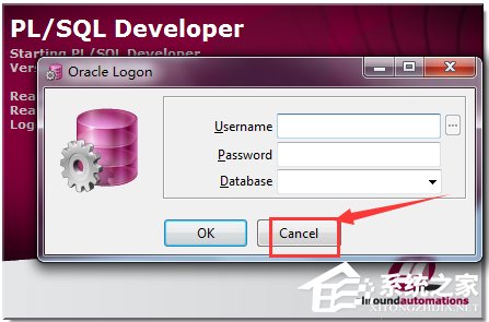 PL/SQL Developer(ɿ) V11.0.2.1766 ɫ