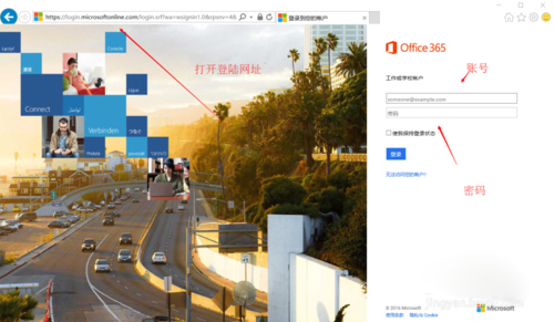 Office 365(΢���ư칫����)