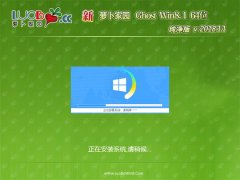 ܲ԰Ghost Win8.1 X64λ 䴿V201811(Լ)